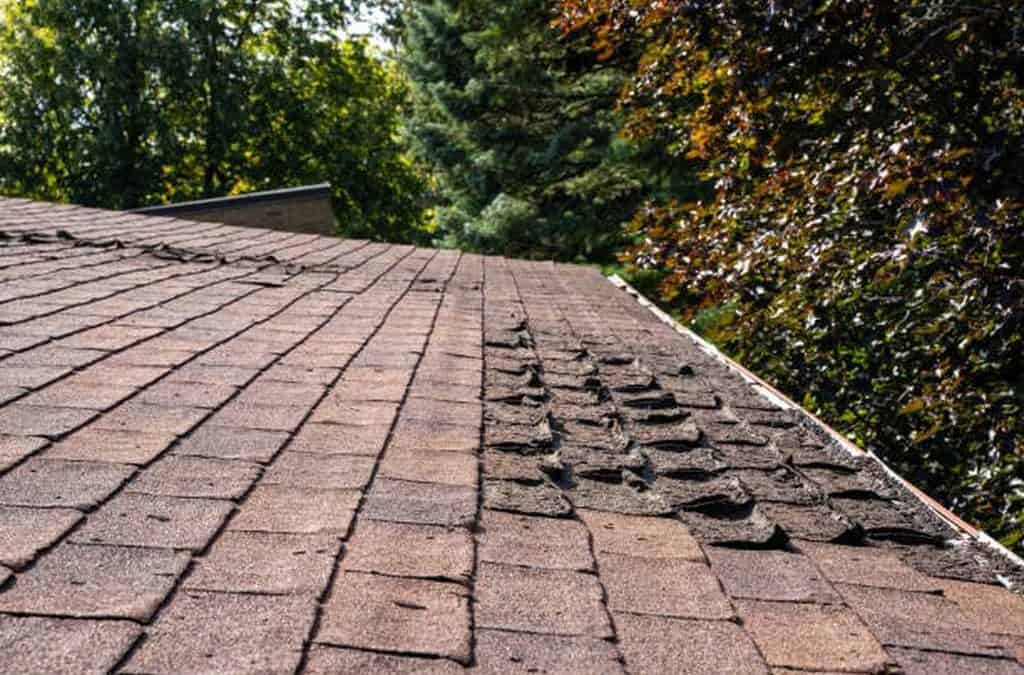 How Much Does a Roof Repair Cost in Los Angeles?