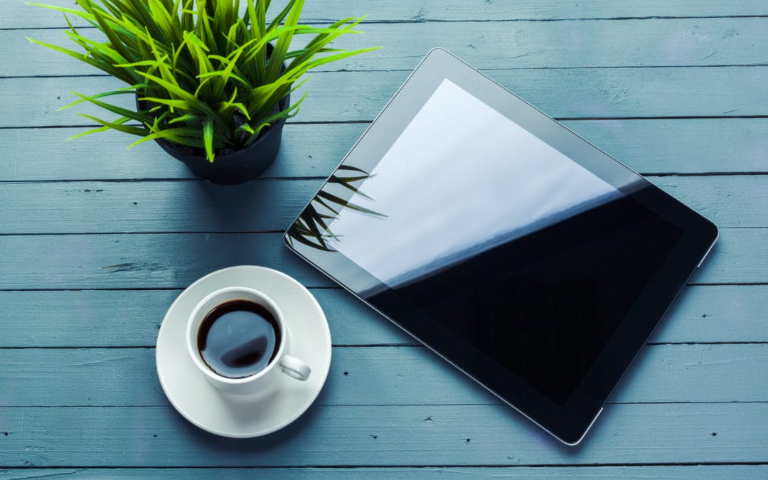 Don’t Just Take Our Word for It: Check out Our Portfolio