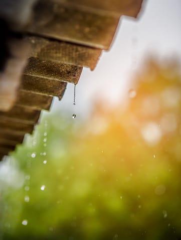 Get Ready for the Rainy Season with Guardian Roofs