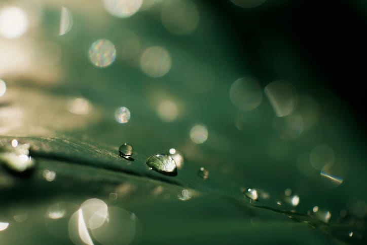 Can your roof handle the rainy season?