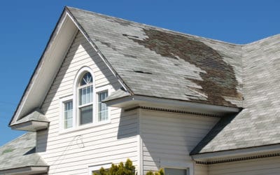 Back to School With Guardian Roofs: Roof Repair 101