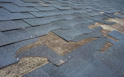 How Do I Choose the Right Roofing Material for My New Roof?
