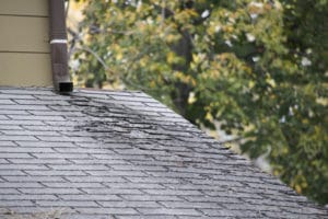 Tips for Roof Safety to Consider This Summer 