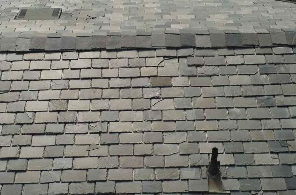 What to Do if a Storm Damages Your Roof in Orange County?