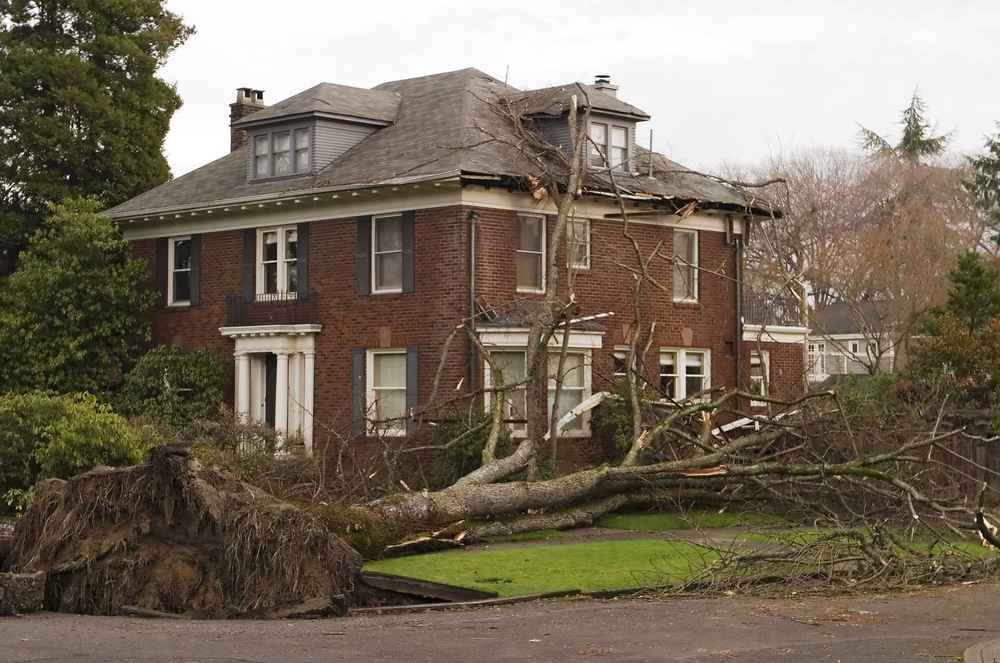 storm damage restoration expert Lakeside CA