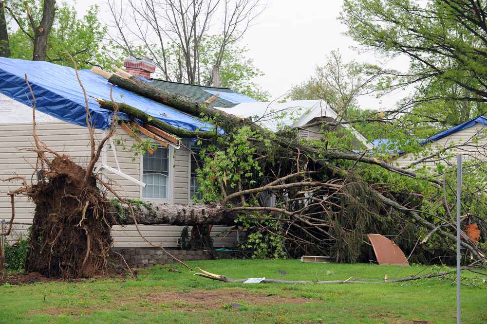 trusted storm damage repair expert in Oceanside CA