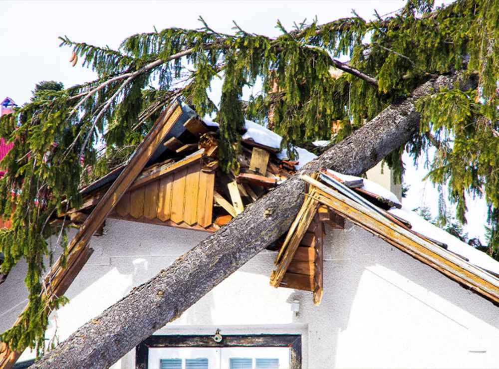trusted storm damage expert Bonsall CA