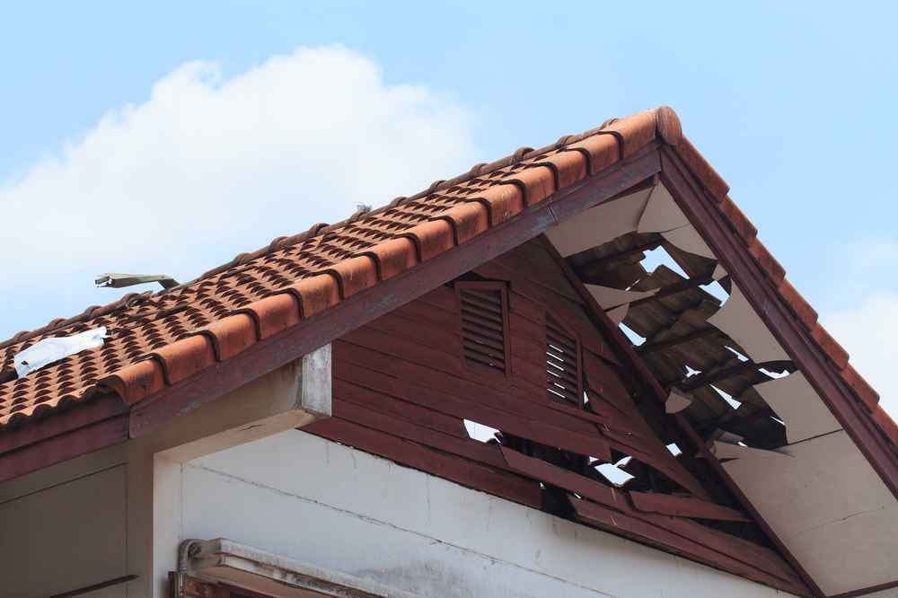 top storm damage expert in Vista CA