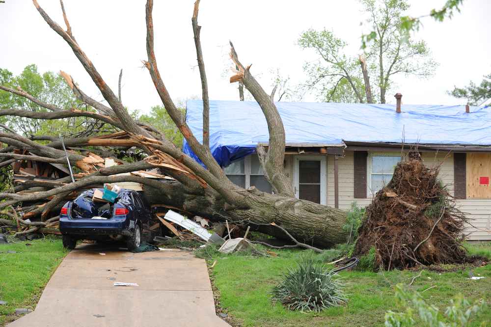 trusted storm damage repair expert in Fallbrook CA