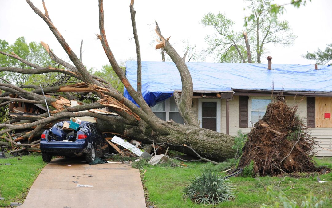 6 Practical Tips for Assessing Storm Damage to Your Roof