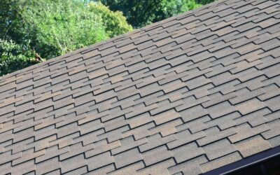 Guide to Luxury Asphalt Shingles: Premium Roofing Options in San Marcos