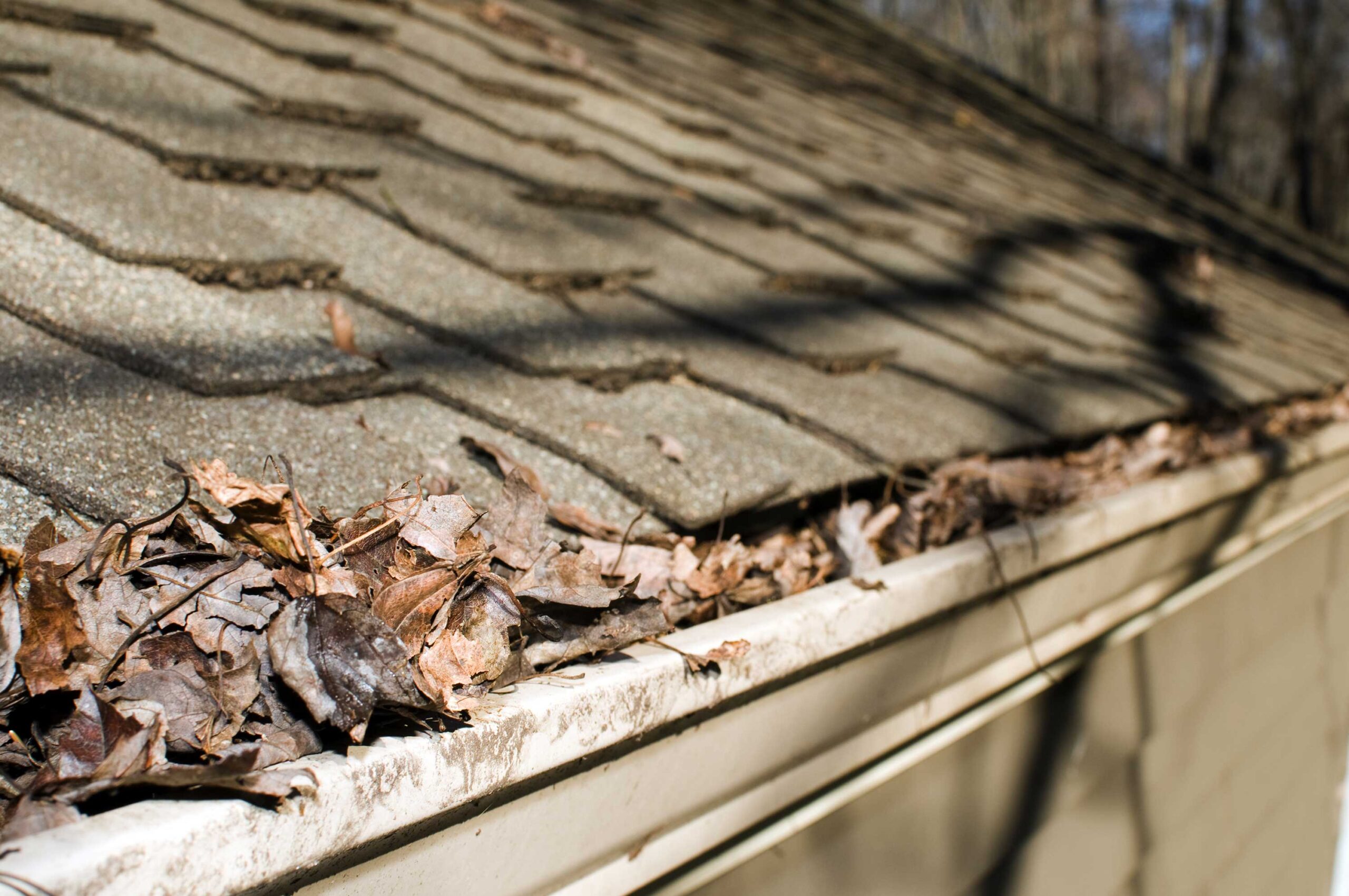 Clogged Gutters Fall Season