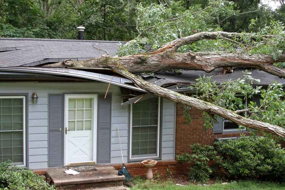 trusted storm damage repair in Orange County