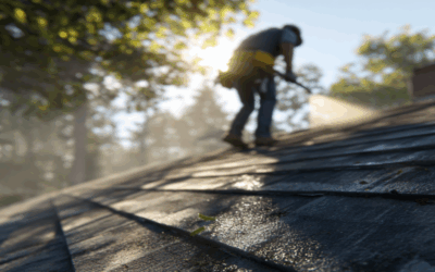 How to Prevent Mold and Mildew on San Diego Roofs
